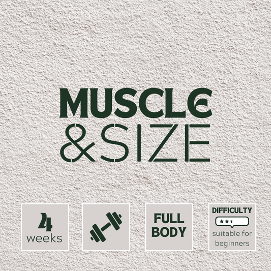 Muscle & Size Workout Program