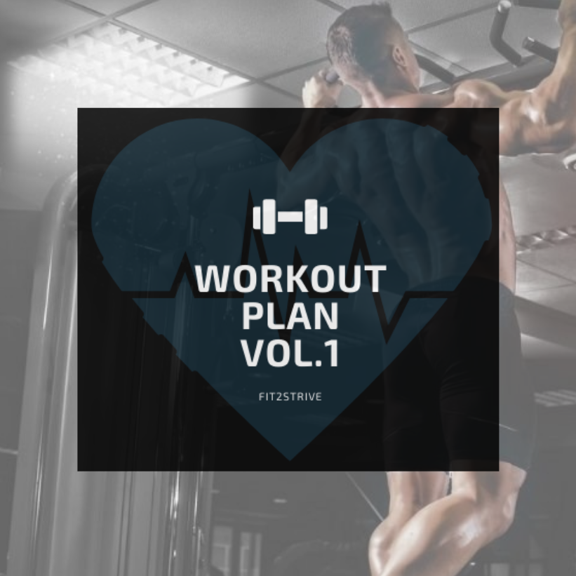 Workout Plan Vol.1 - Build & Grow